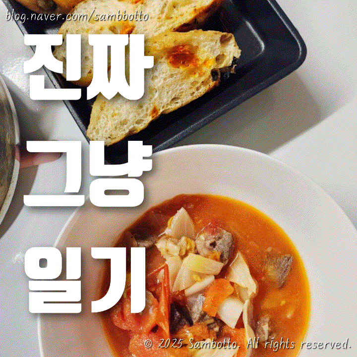  진짜 그냥 일기 | 일주일 넘게 일기를 못썼다고.. 평범한 일상의 기록 이것저것