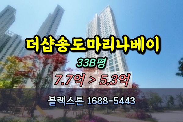  더샵송도마리나베이 경매 33평 선순위전입자파악 [2024타경16600]