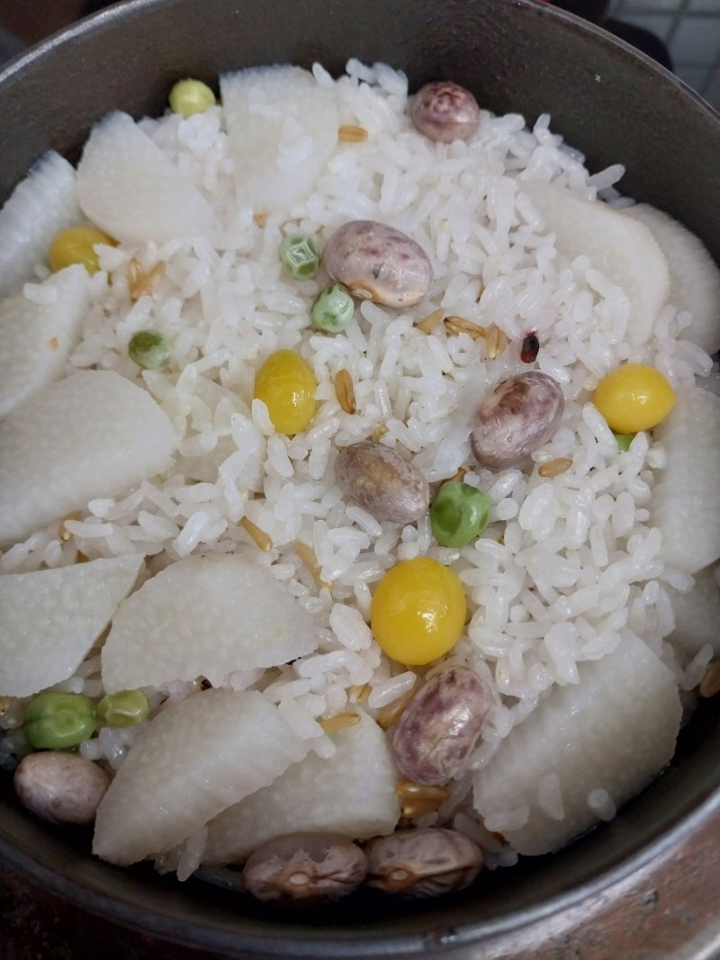 운틴솥 사용기