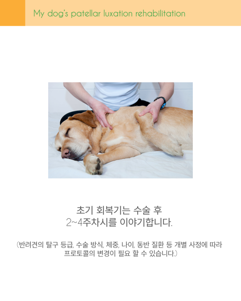 사진 8