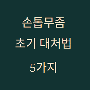 손톱무좀 초기 대처법｜늦기 전에 해야 할 5가지