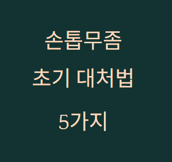 손톱무좀 초기 대처법｜늦기 전에 해야 할 5가지
