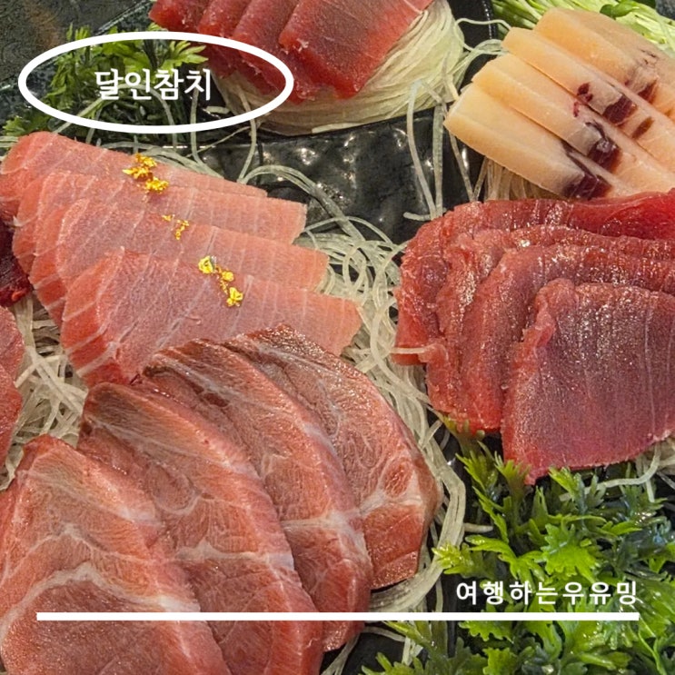  야탑참치 무한리필에 마끼까지 달인참치야탑에서 즐기는 술 한 잔