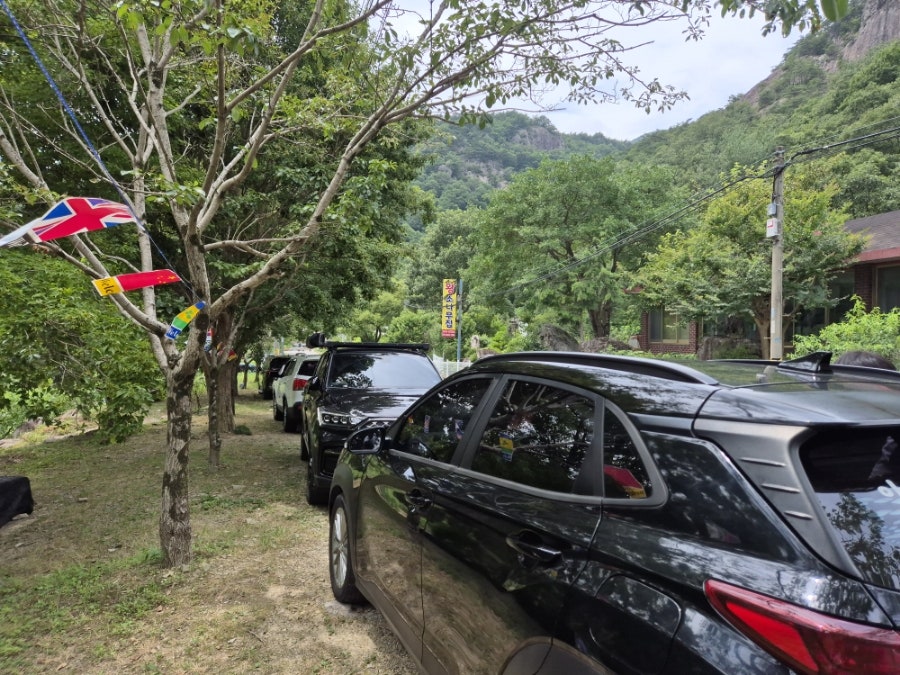 소나무펜션 사진 2