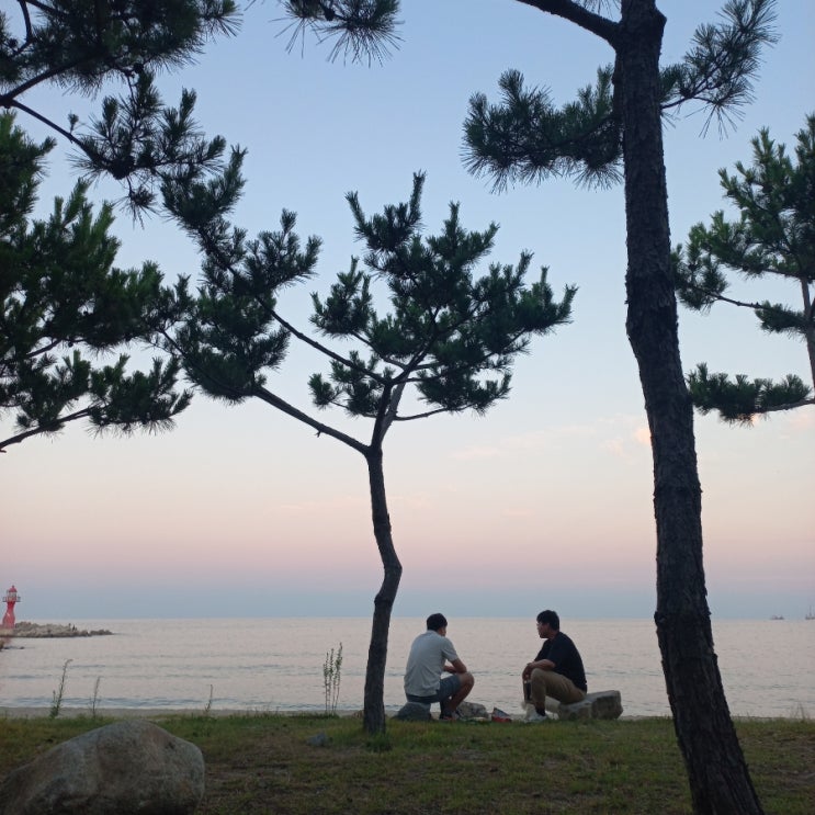  믿음 소망 사랑 중에.. 신부님의 미사 강론 중에 느낀 점