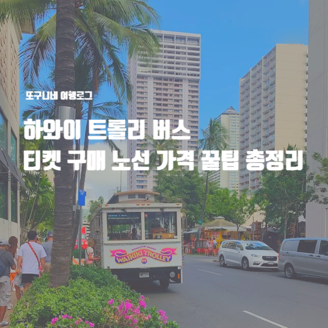  하와이 트롤리 버스 티켓 구매 노선 가격 꿀팁 총정리, 블루라인 핑크라인 그린라인 레드라인