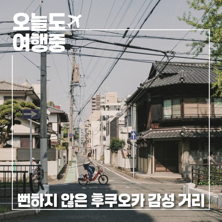  뻔하지 않은 후쿠오카 시로가네 롯폰마츠 감성 골목 카페거리(ft.백금다방)