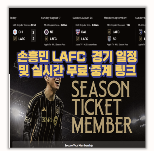 손흥민 LAFC 2025 경기 일정 총정리 실시간 무료 생중계 링크까지