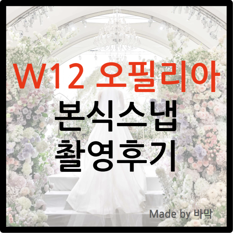  W12 오필리아 픽처 본식스냅 촬영 후기
