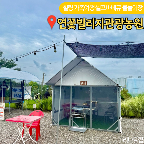  연꽃빌리지관광농원 경기도 양주 가볼만한곳 셀프바베큐장 캠핑맛집