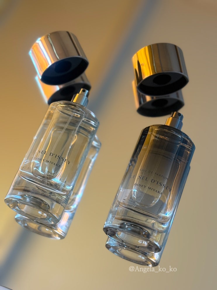  ISSEYMIYAKE 이세이미야케 향수 르셀디세이 오 드 퍼퓸(EDP) 오드 뚜왈렛(EDT) 남자 향수 선물 추천