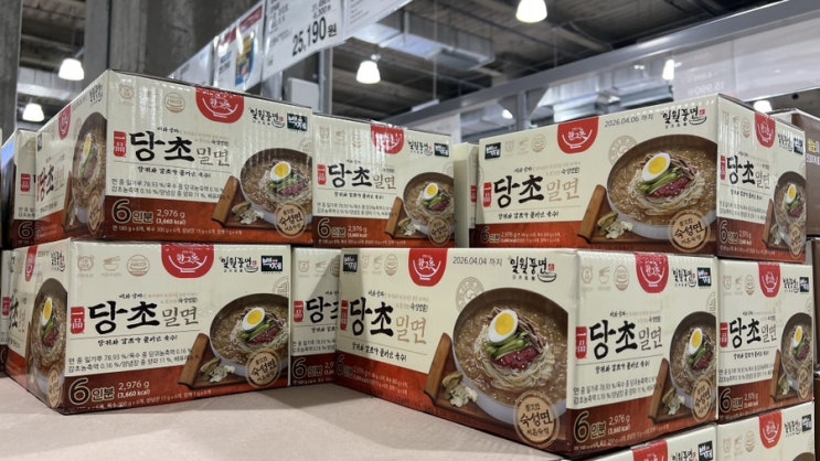  대전 코스트코 8월 세일 품목 둘째주 셋째주 회원권 할인 상품 추천템 휴무일 정보