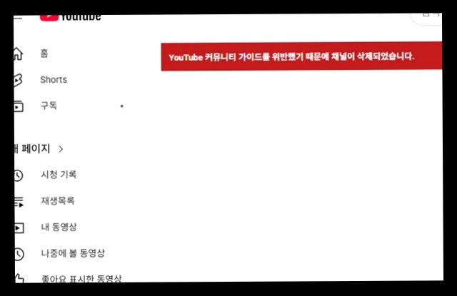 5만 유튜버 손연재 채널 하룻밤새 증발! 대체 무슨 가이드 위반했길래?