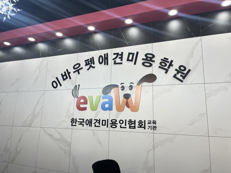  광주애견미용학원 애견미용자격증 취득, 창업까지 한 번에!
