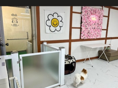 사진 6