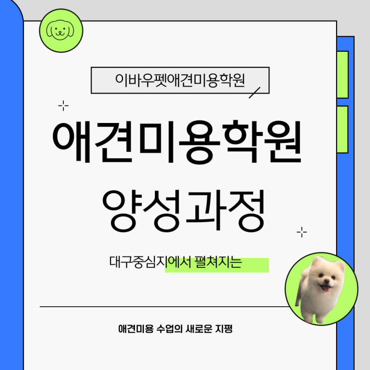  반월당애견미용학원, 대구중심가에서 시작하는 애견미용전문가 양성 과정