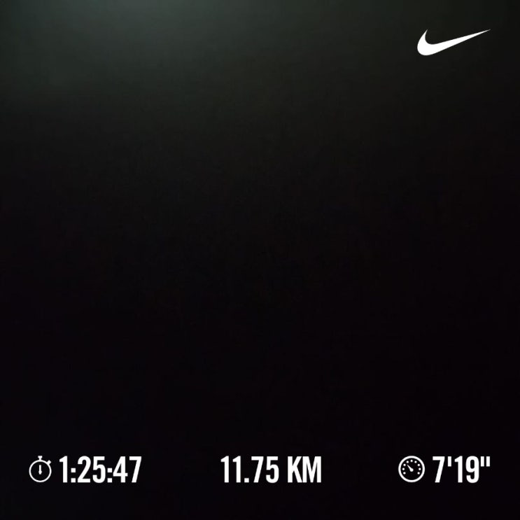 매일 10km 러닝 달리기 챌린지 1464일 차