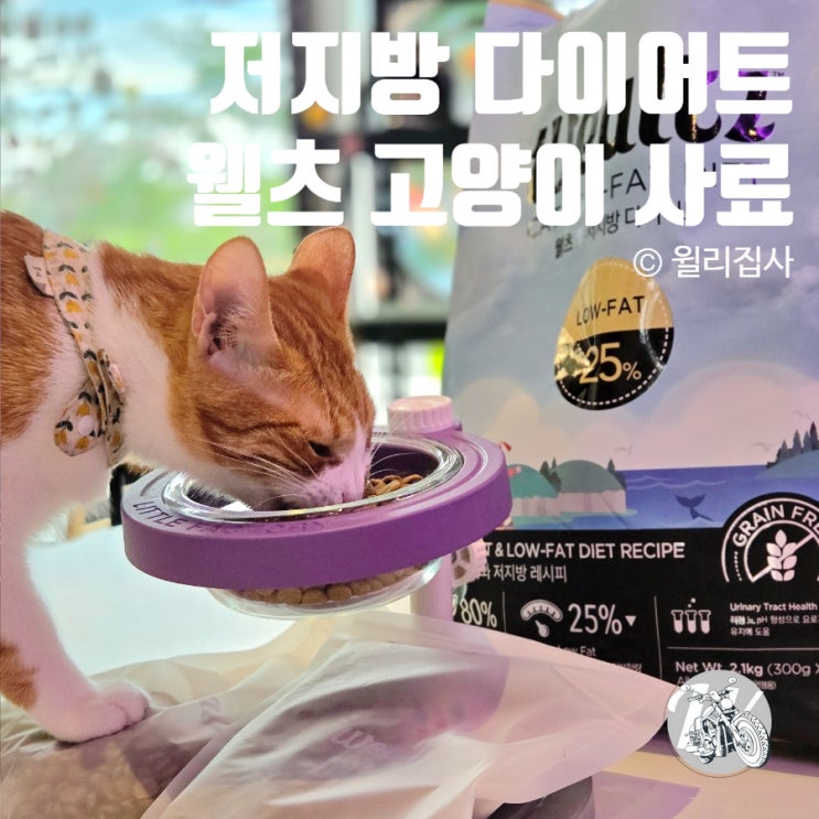  웰츠 저지방 다이어트 슈퍼푸드 고양이 사료