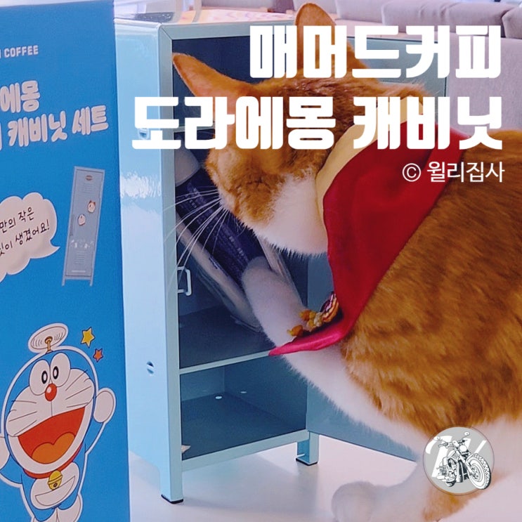 매머드커피 도라에몽 미니 캐비닛 고양이 용품 수납
