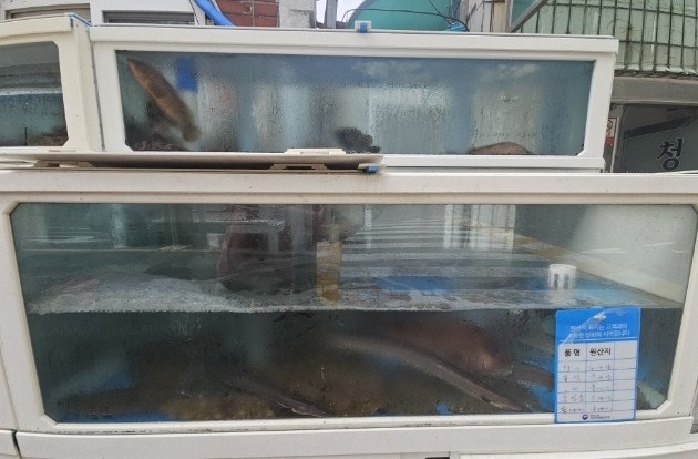 청정횟집 사진 4