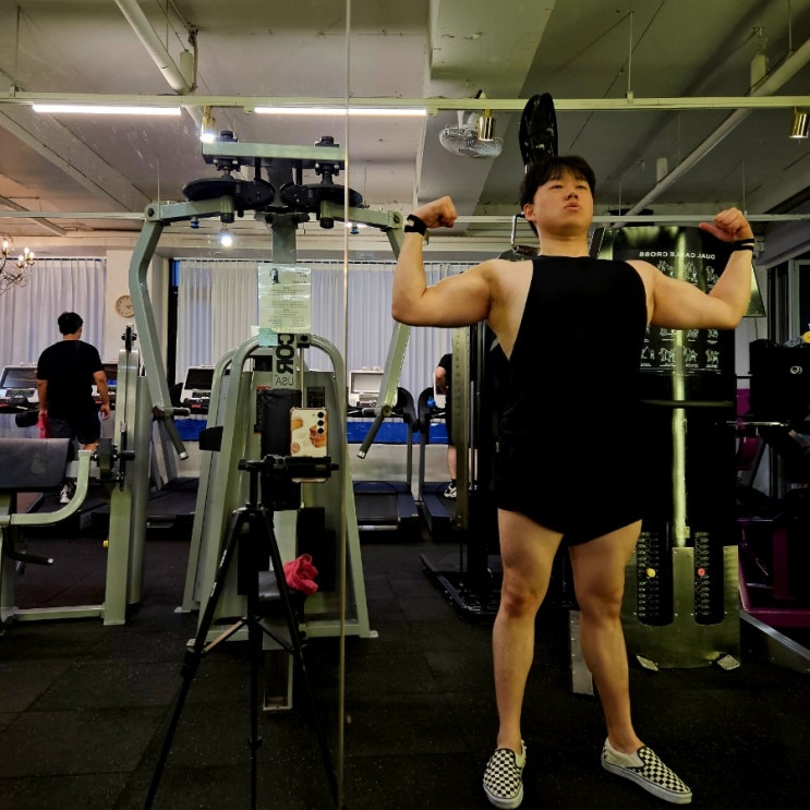 250810 하체 삼두 운동루틴 체형분석