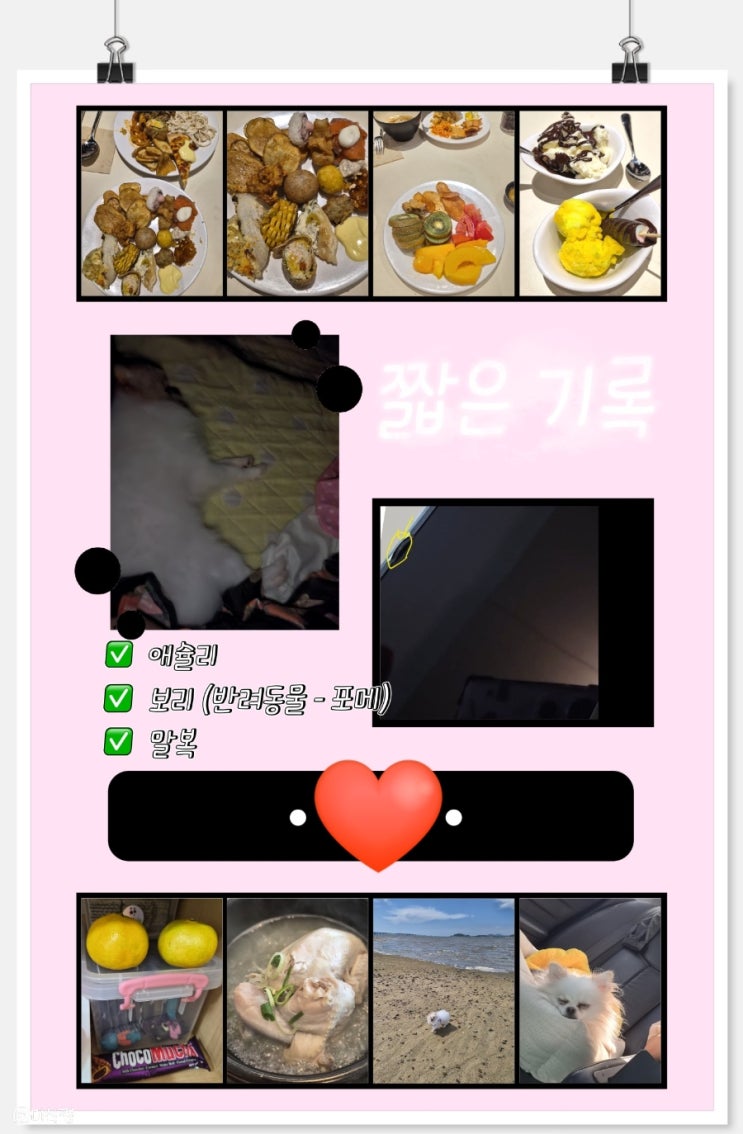 빠르게 지나간 것 같은 한 주 _ Z플립7 삼성 서비스센터, 메가커피 아사이볼 , 애슐리 , 귀여운 포메라니안 보리와 말복 맞이 고려조 삼계탕