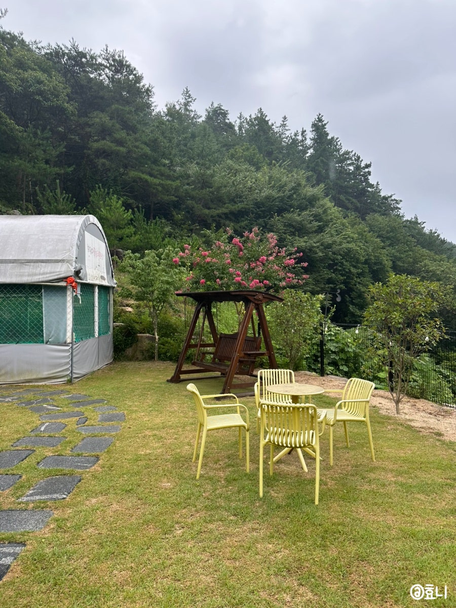 부엉이풀빌라펜션 사진 6