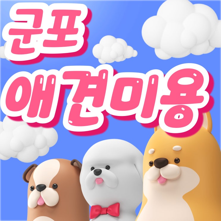  군포애견미용학원 이바우펫, 반려동물산업 전문가로 성장하는 확실한 선택