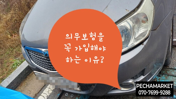  의무보험을 꼭 가입해야 하는 이유?
