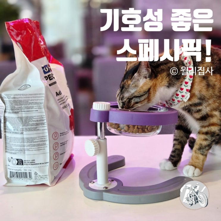  오메가3사료 스페시픽 기호성 좋은 고양이 사료