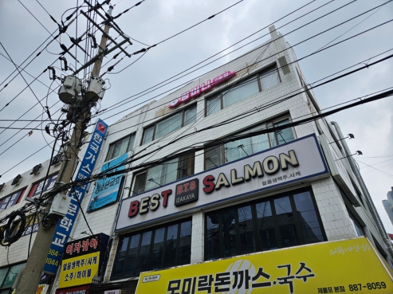 사진 5
