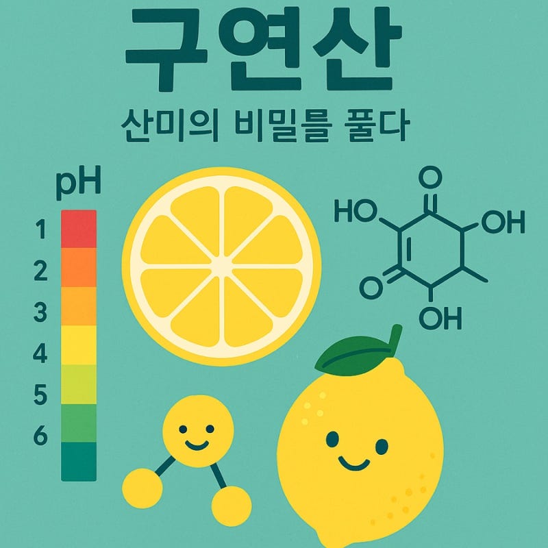 구연산이란? 과일 속 산미! 건강과 생활 속 활용 방법