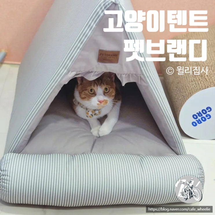  고양이텐트 펫브랜디 강아지텐트 겸용 숨숨집