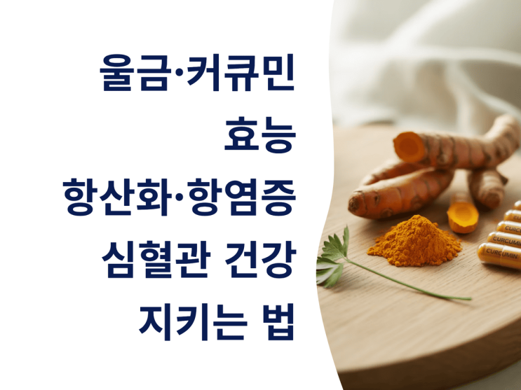  울금·커큐민 효능: 항산화·항염증·심혈관 건강까지 지키는 법