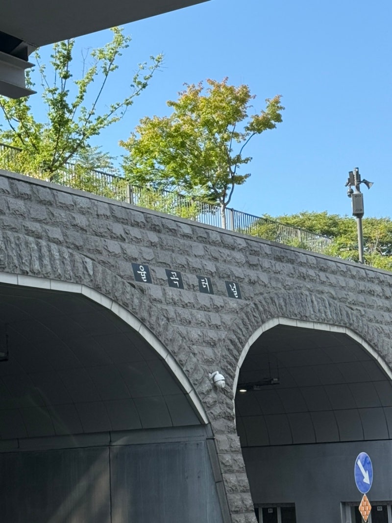 사진 2