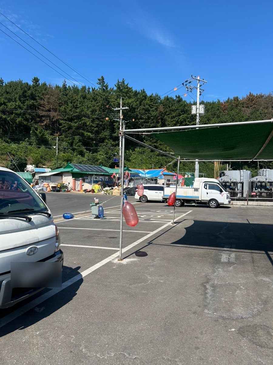 등대수산 사진 6