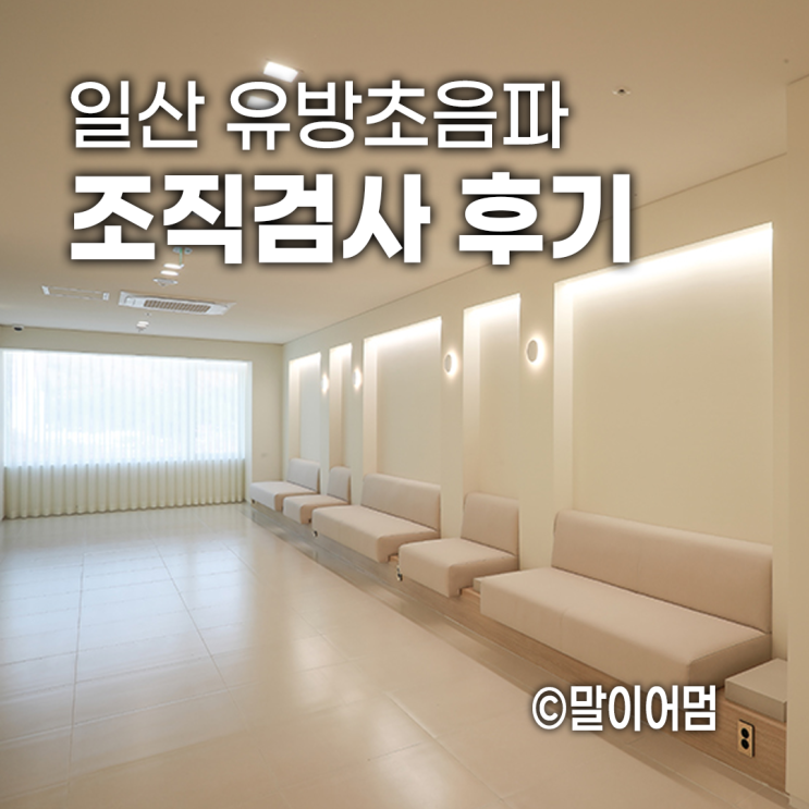 일산 유방외과에서 유방초음파, 조직검사, 추적검사 후기(비용과 실비 청구까지)