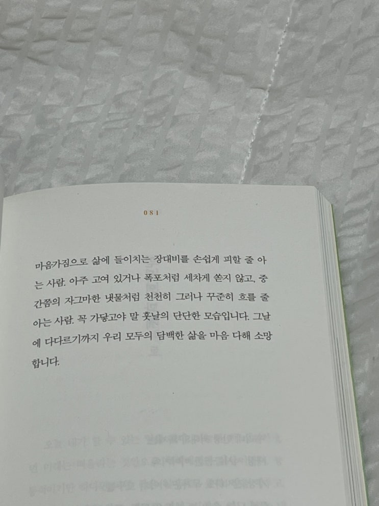  7월 - 8월 일상