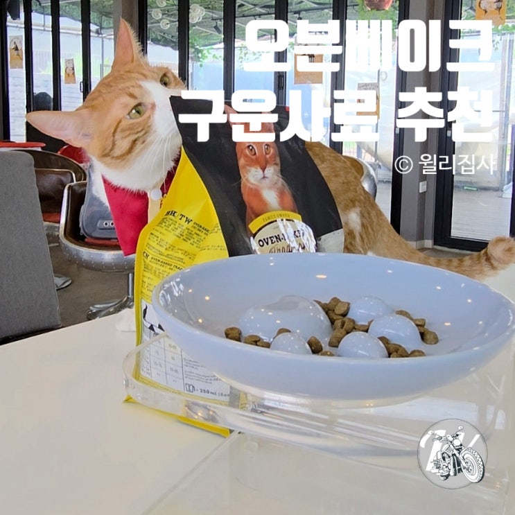  오븐베이크사료 구운사료추천