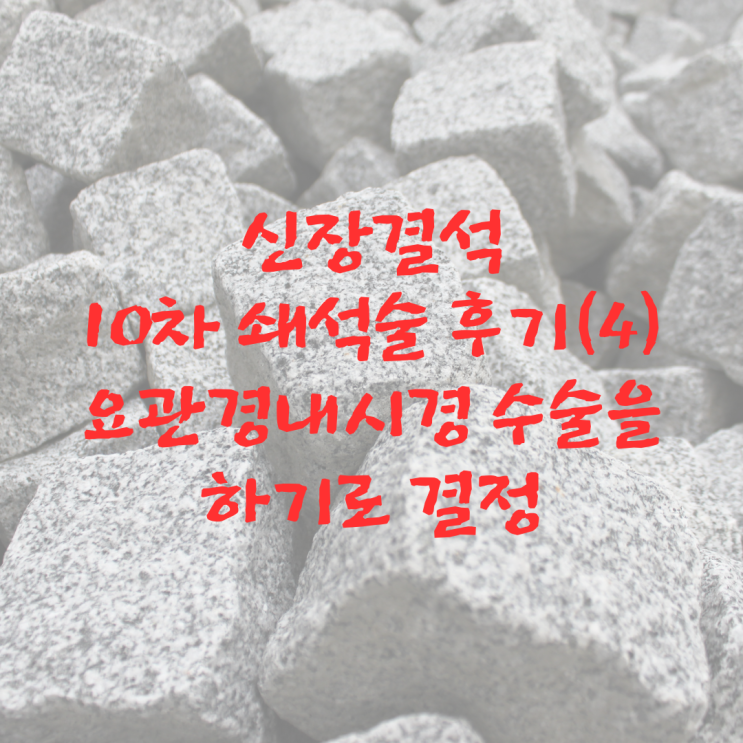 신장결석 10차 쇄석술 후기(4)_연성요관경내시경 수술하기로 결정