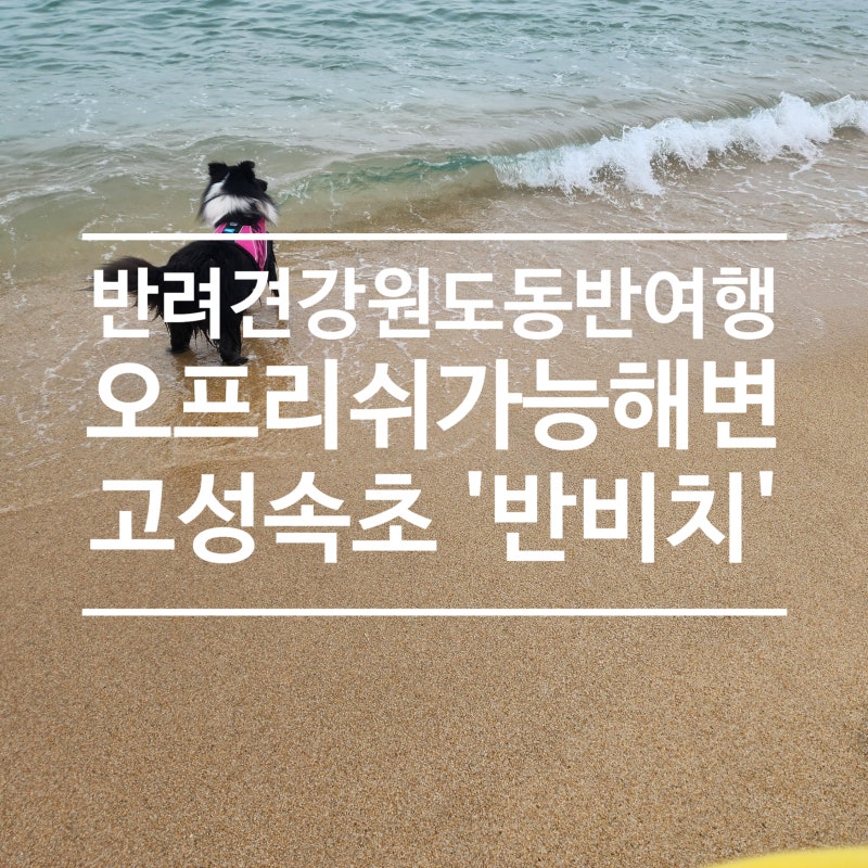 사진 6