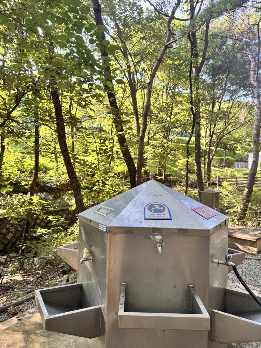 마감산산림욕장 사진 6