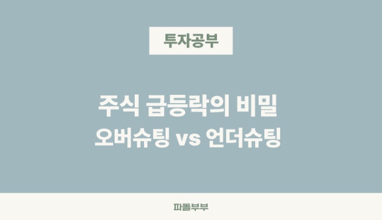  주식투자 오버슈팅 이론 반대 언더슈팅 뜻