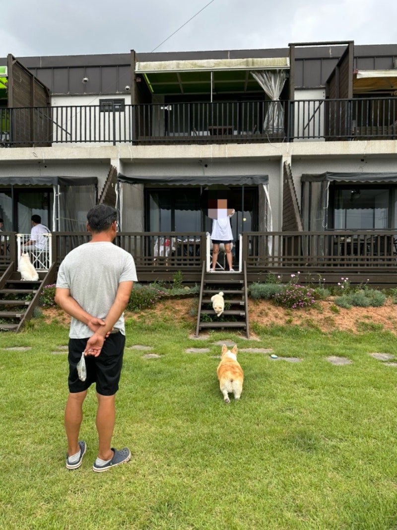 거제봄날펜션 — 거제시
