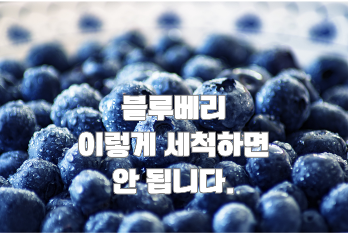  블루베리 세척, 이렇게 해야 신선함과 영양을 지킨다
