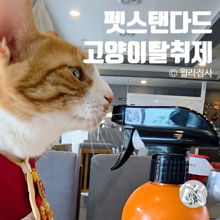  고양이탈취제 펫스탠다드 반려동물 냄새 끝