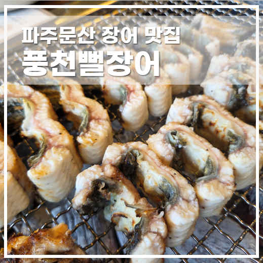  파주 문산 장어 맛집 풍천뻘장어, 여름철 보양식으로 딱