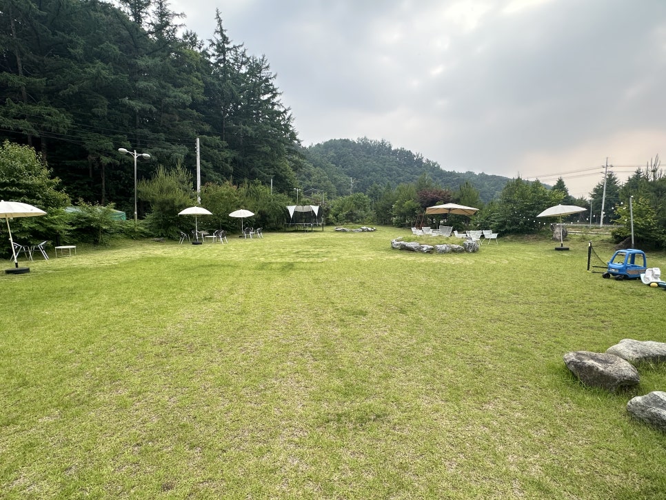 카페글렌 동충주점 사진 3