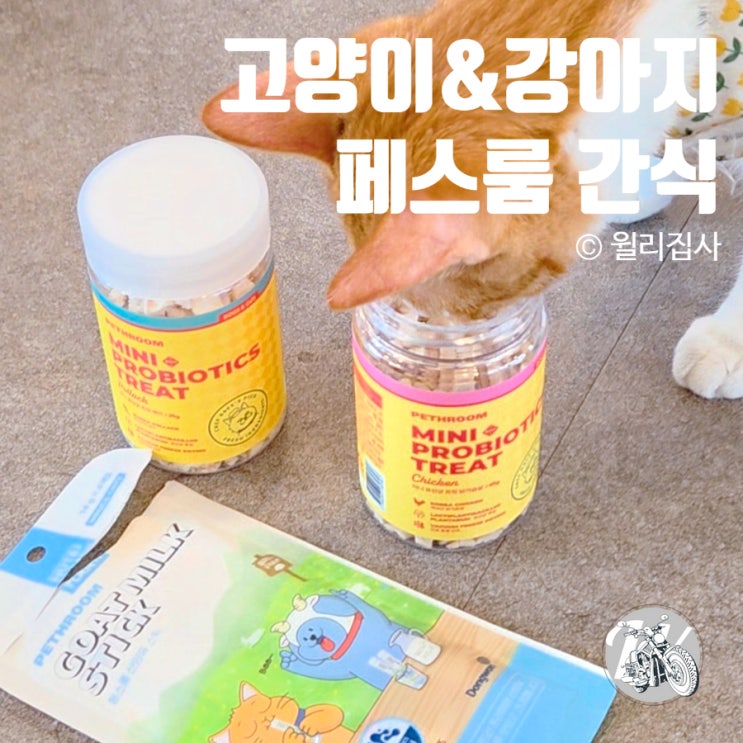  고양이유산균 페스룸 동결건조 강아지간식