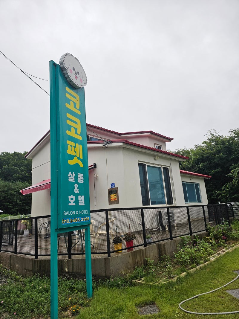 사진 4